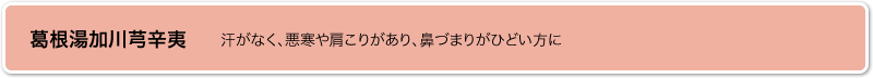 葛根湯加川芎辛夷