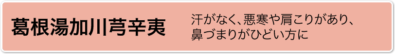 葛根湯加川芎辛夷