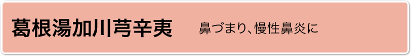 葛根湯加川芎辛夷