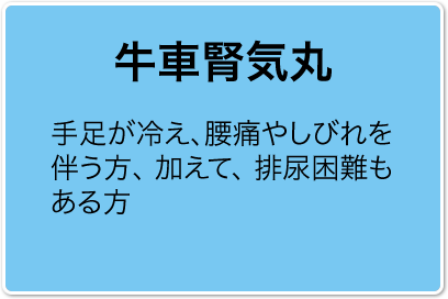 牛車腎気丸