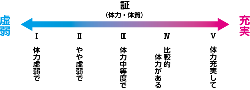 虚実の概念を反映した体力分類